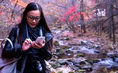 草莓丝瓜榴莲秋葵污污无限看下载